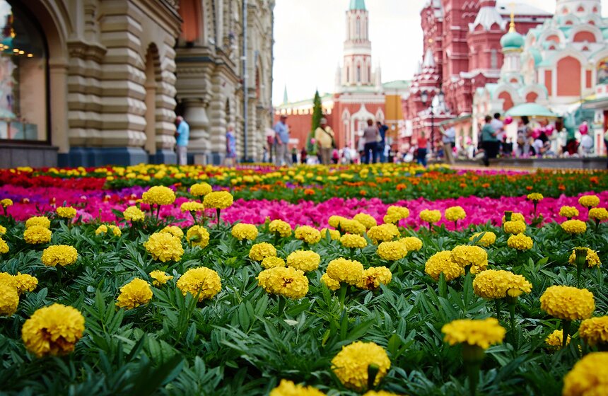 В ГУМе проходит ежегодный фестиваль цветов 1 фото