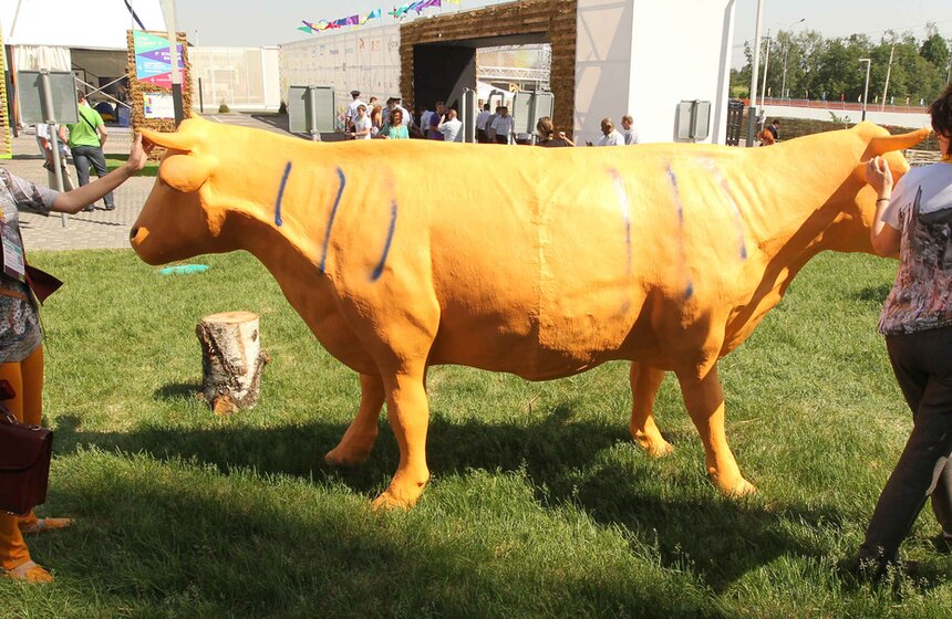 Дмитрий Медведев посетил конференцию Startup Village в Сколково 3 фото