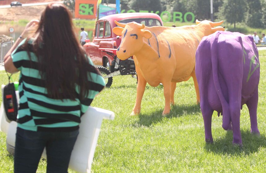 Дмитрий Медведев посетил конференцию Startup Village в Сколково 15 фото