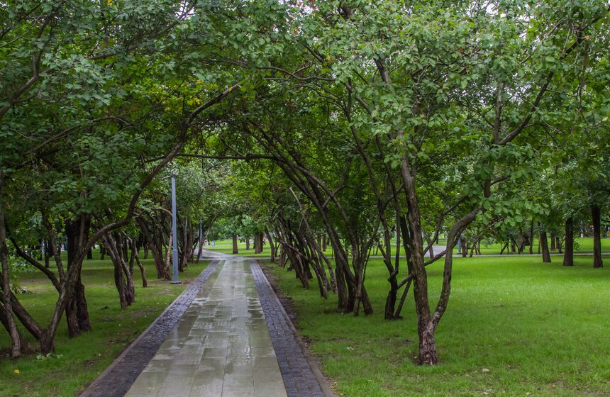 Благоустройство Каширского шоссе оценил Сергей Собянин 3 фото