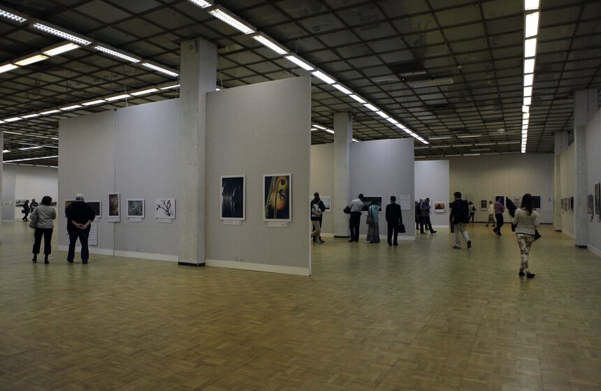 В Москве стартует фестиваль дикой природы "Золотая черепаха" 11 фото