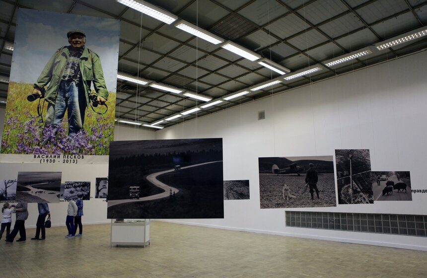 В Москве стартует фестиваль дикой природы "Золотая черепаха" 4 фото