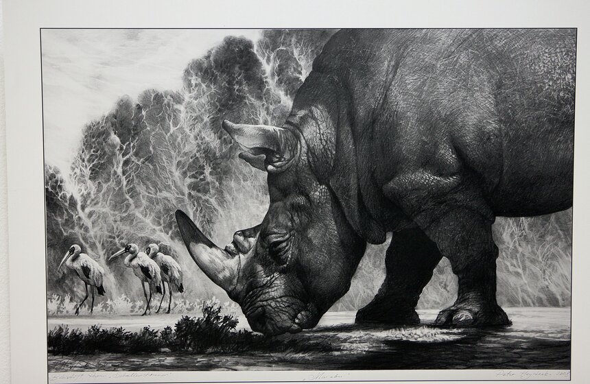 В Москве стартует фестиваль дикой природы "Золотая черепаха" 8 фото