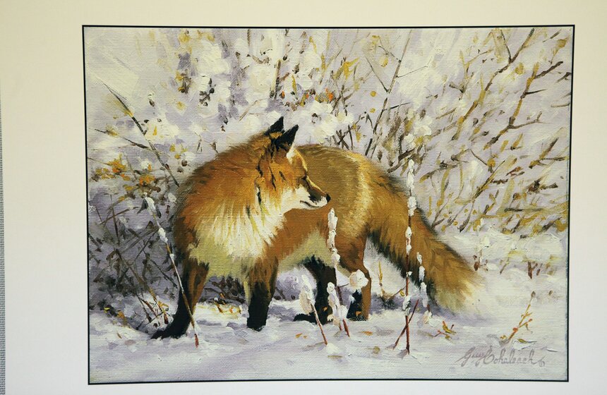 В Москве стартует фестиваль дикой природы "Золотая черепаха" 7 фото