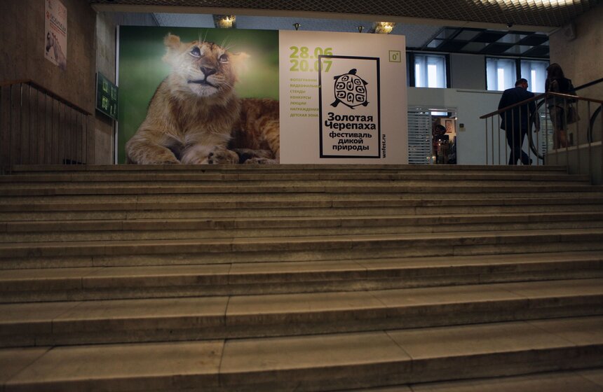 В Москве стартует фестиваль дикой природы "Золотая черепаха" 18 фото