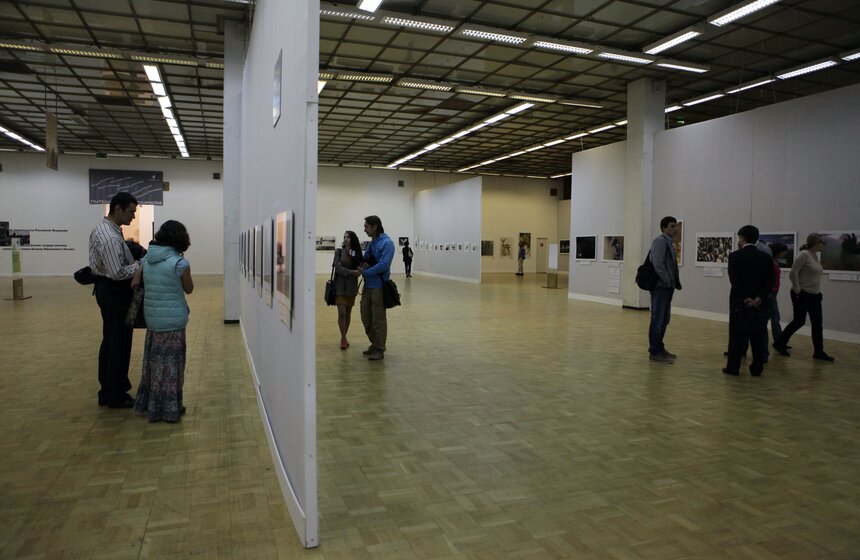 В Москве стартует фестиваль дикой природы "Золотая черепаха" 2 фото