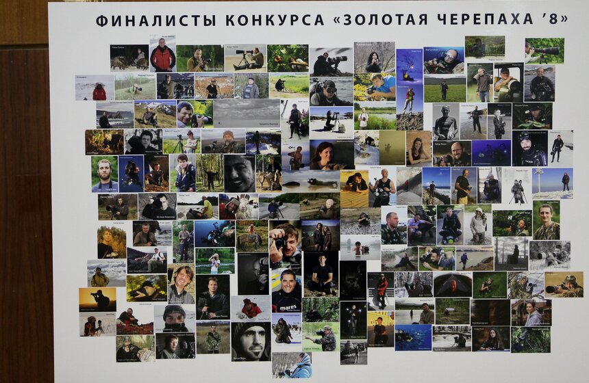 В Москве стартует фестиваль дикой природы "Золотая черепаха" 1 фото