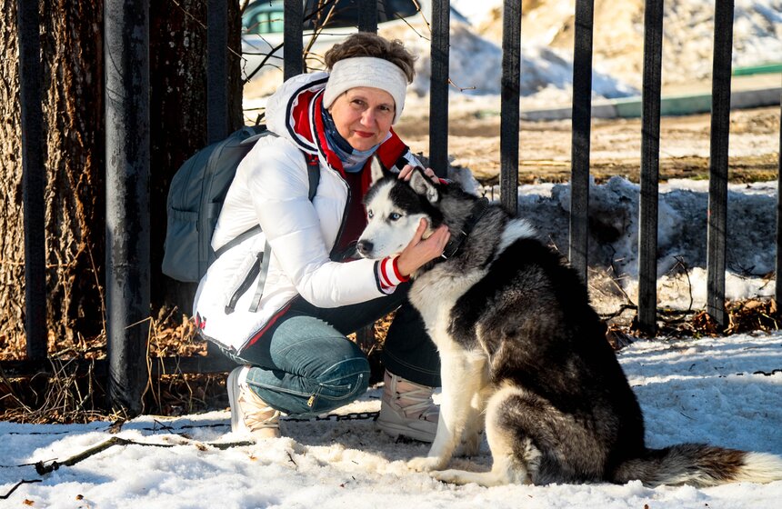 Гонка на собачьих упряжках "Содружество" прошла в Красногорске 1 фото