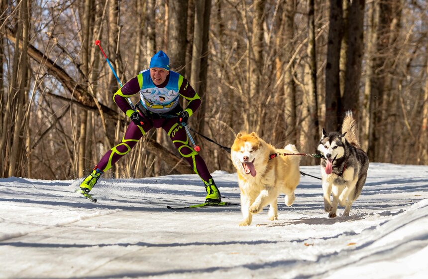 Гонка на собачьих упряжках "Содружество" прошла в Красногорске 14 фото