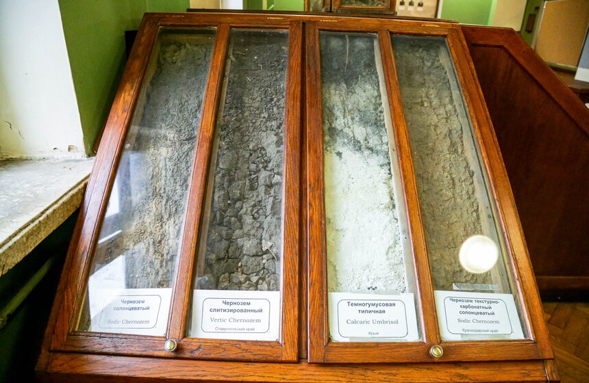 Общеуниверситетский День открытых дверей прошел в МГУ 27 фото