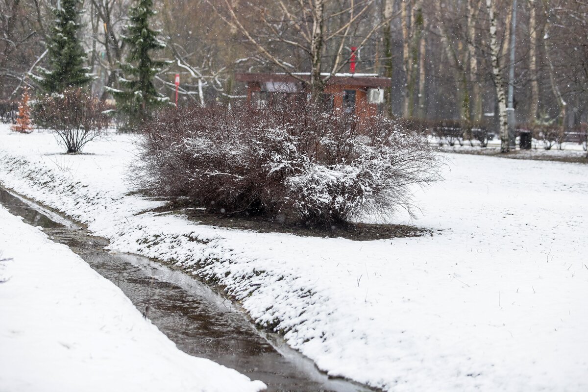 Почему сегодня снег. Снег в апреле. Первый снег. Снег фото. Апрель в Москве.