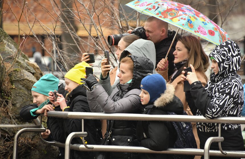 Медведи вышли из зимней спячки в Московском зоопарке 5 фото