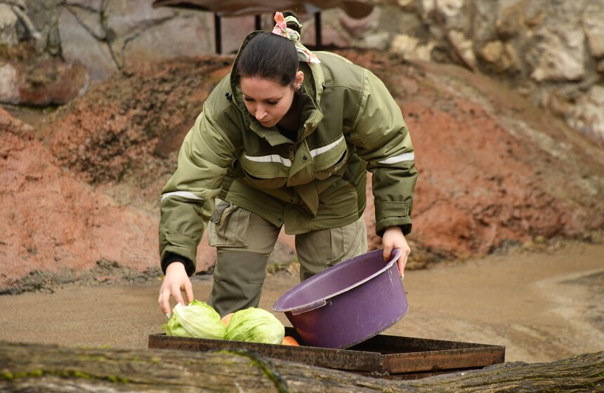 Медведи вышли из зимней спячки в Московском зоопарке 1 фото
