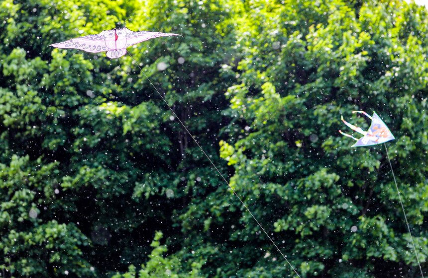 Фестиваль воздушных змеев "Пестрое небо" прошел в столице 7 фото