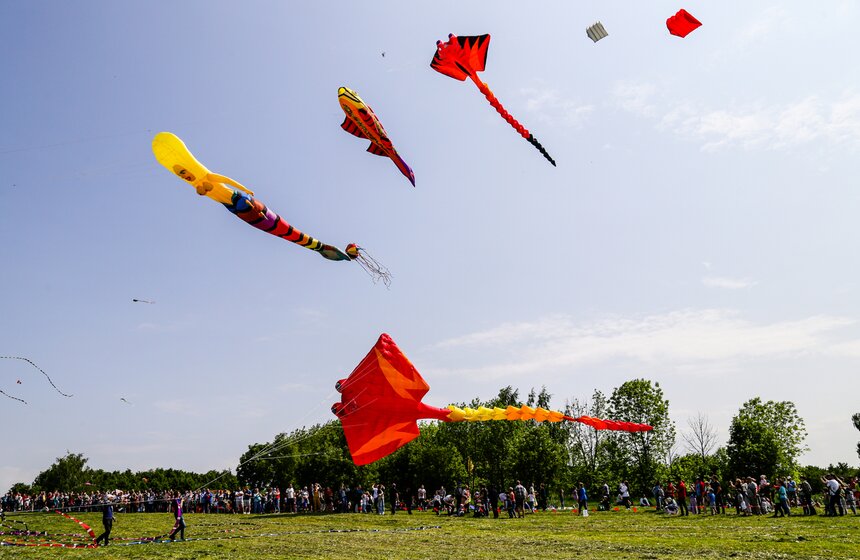 Фестиваль воздушных змеев "Пестрое небо" прошел в столице 23 фото