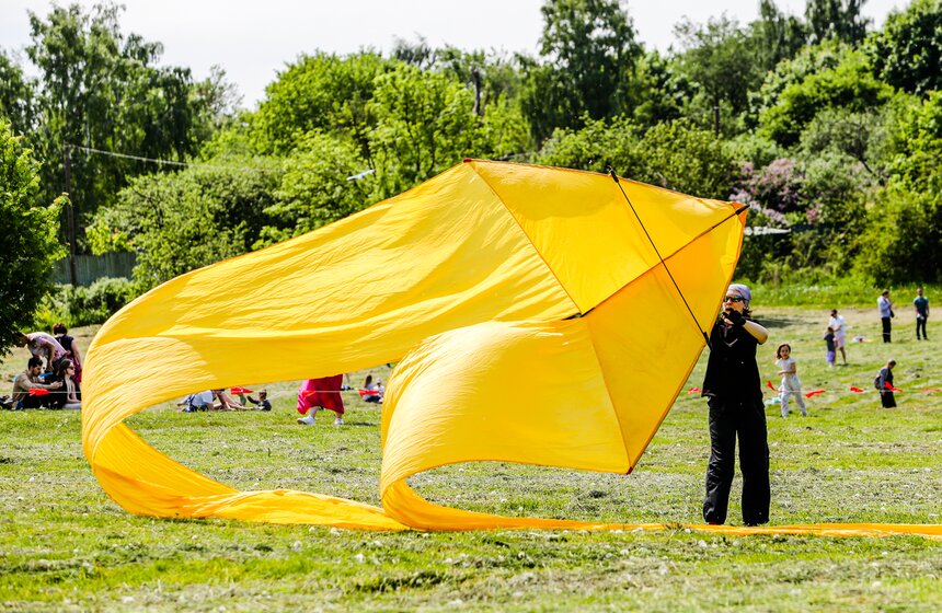 Фестиваль воздушных змеев "Пестрое небо" прошел в столице 17 фото