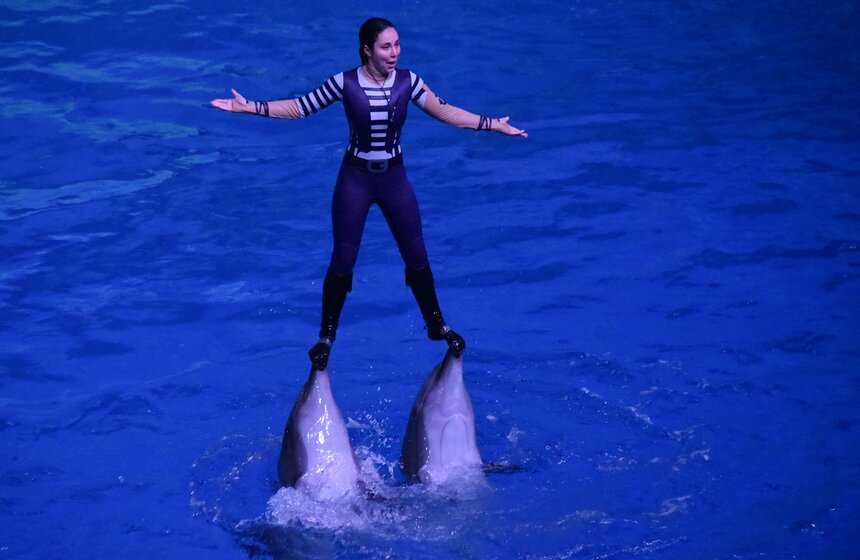 Мюзикл на воде "Буря. Остров волшебства" показали в "Москвариуме" 3 фото