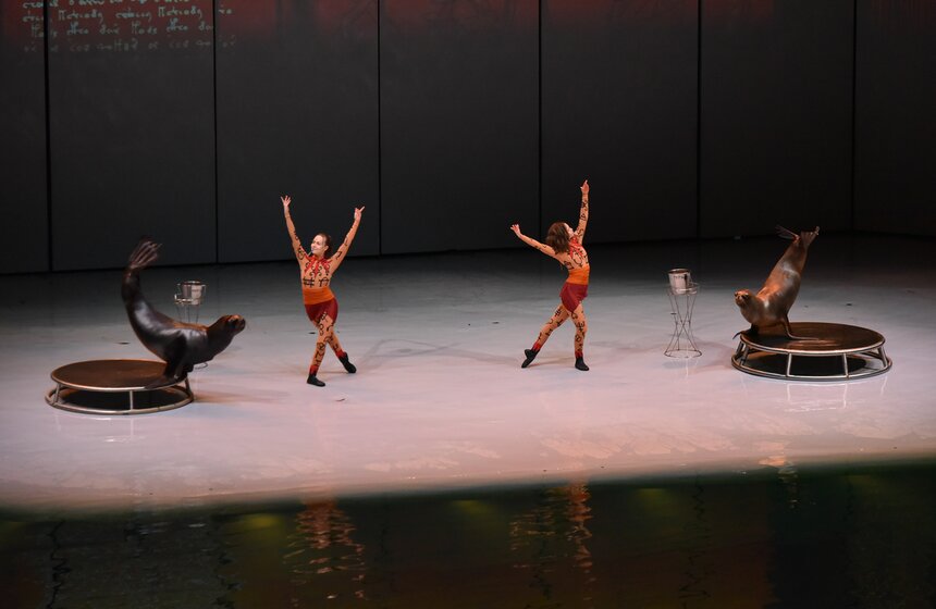 Мюзикл на воде "Буря. Остров волшебства" показали в "Москвариуме" 8 фото