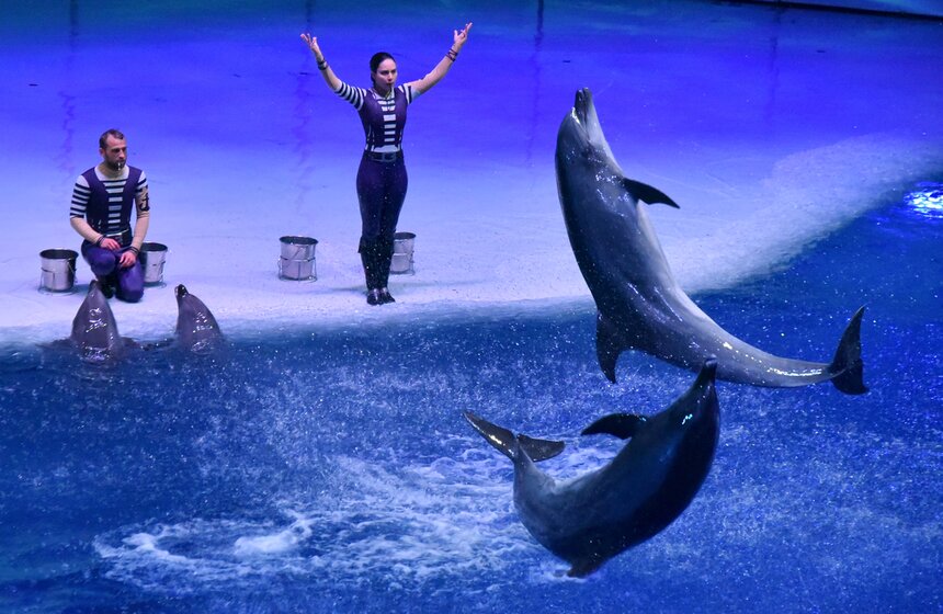 Мюзикл на воде "Буря. Остров волшебства" показали в "Москвариуме" 2 фото