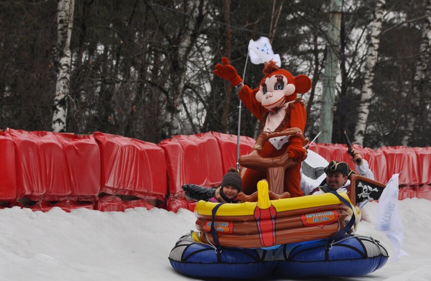 В парке "Сокольники" прошел фестиваль необычных саней 7 фото