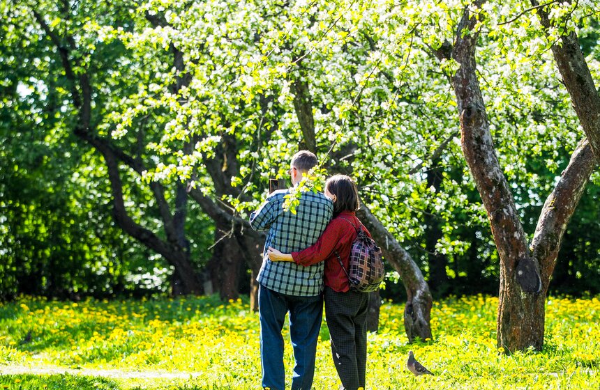 Казанский яблоневый сад расцвел в музее-заповеднике "Коломенское" 16 фото