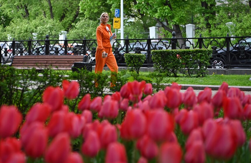 Около 56 млн цветов украсят столицу в 2023 году 18 фото