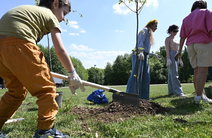 Вишневую аллею театра "Et Cetera" посадили в парке Лужкова 14 фото
