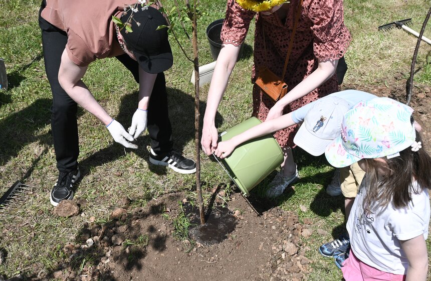 Вишневую аллею театра "Et Cetera" посадили в парке Лужкова 11 фото