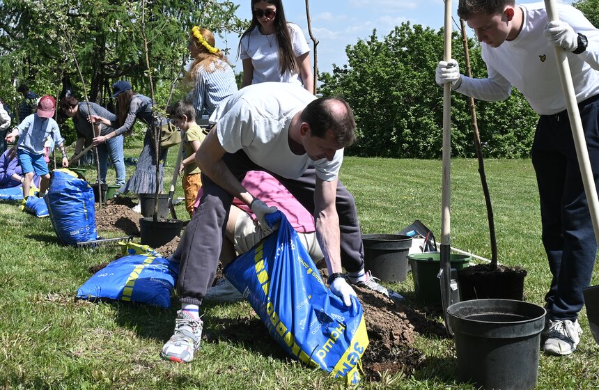 Вишневую аллею театра "Et Cetera" посадили в парке Лужкова 9 фото