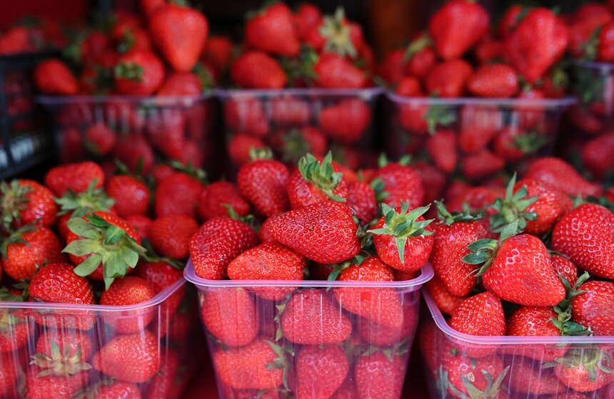 Торговые точки по продаже клубники открыли в Москве 8 фото