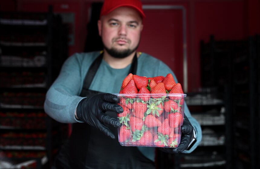 Торговые точки по продаже клубники открыли в Москве 14 фото