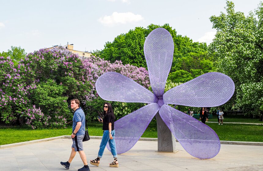 Более 200 сортов сирени расцвели в парке "Сиреневый сад" 5 фото