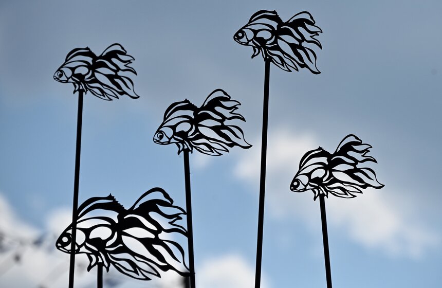 Гастрономический фестиваль "Рыбная неделя" проходит в Москве 3 фото