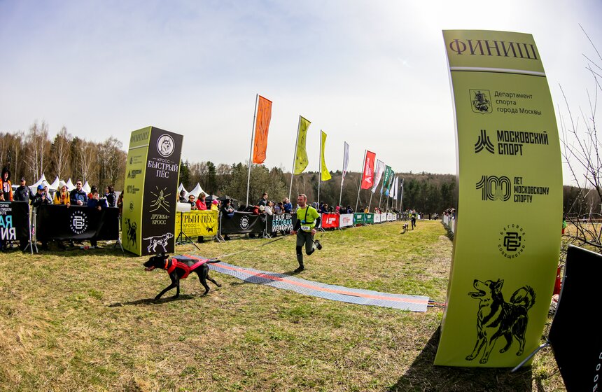 Кросс "Быстрый пес" прошел в Битцевском лесу 15 фото