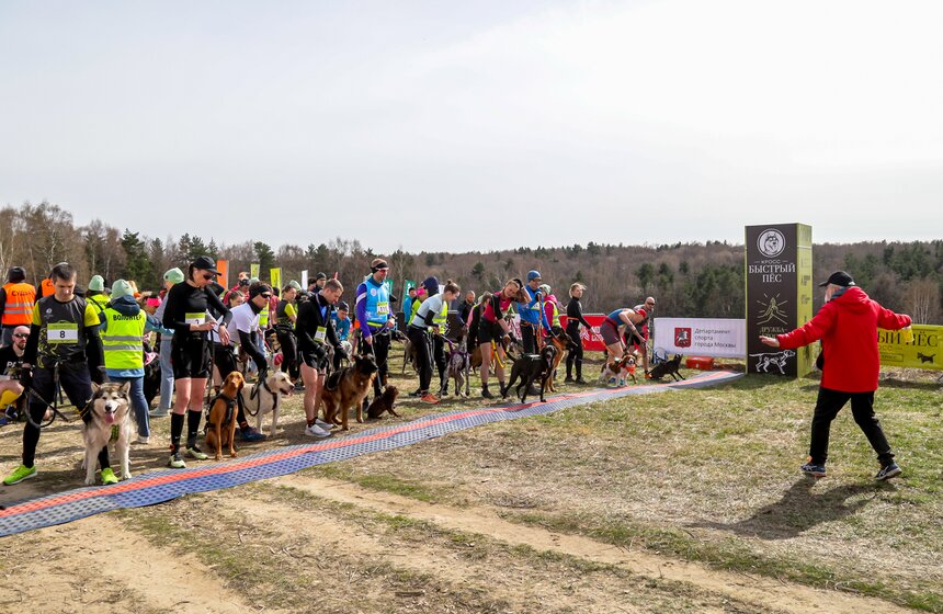 Кросс "Быстрый пес" прошел в Битцевском лесу 5 фото