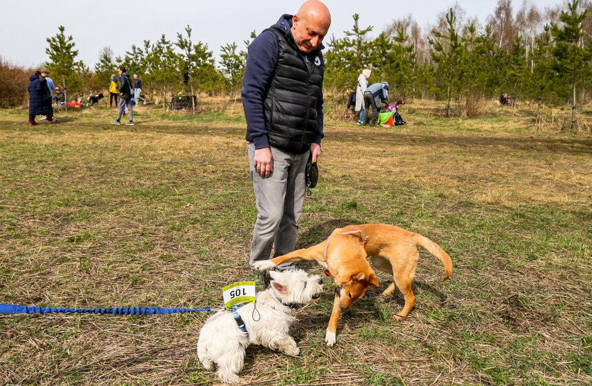 Кросс "Быстрый пес" прошел в Битцевском лесу 3 фото