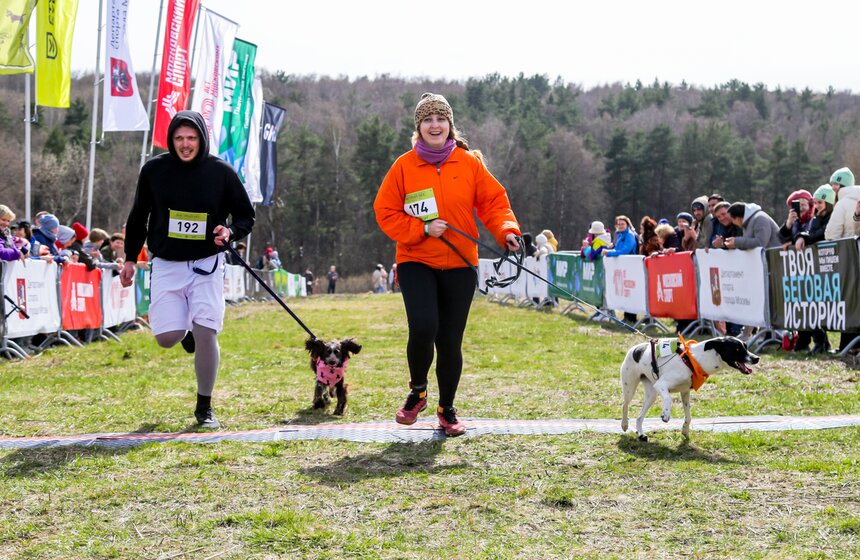 Кросс "Быстрый пес" прошел в Битцевском лесу 17 фото