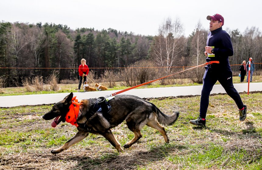 Кросс "Быстрый пес" прошел в Битцевском лесу 10 фото
