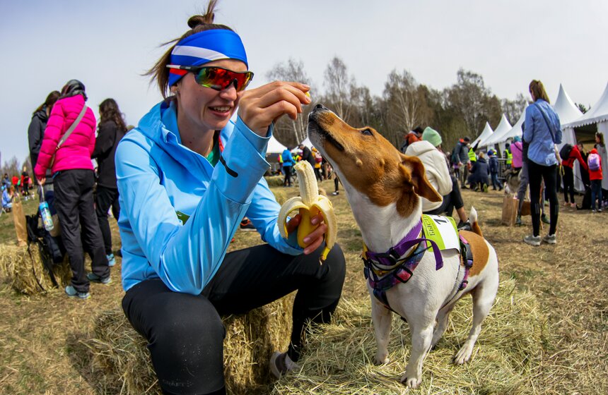 Кросс "Быстрый пес" прошел в Битцевском лесу 2 фото