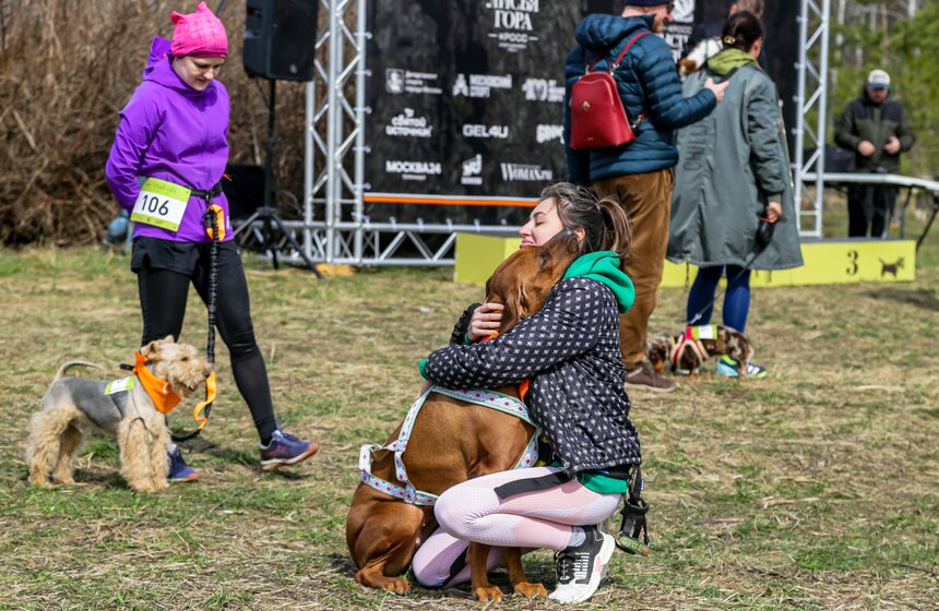 Кросс "Быстрый пес" прошел в Битцевском лесу 4 фото