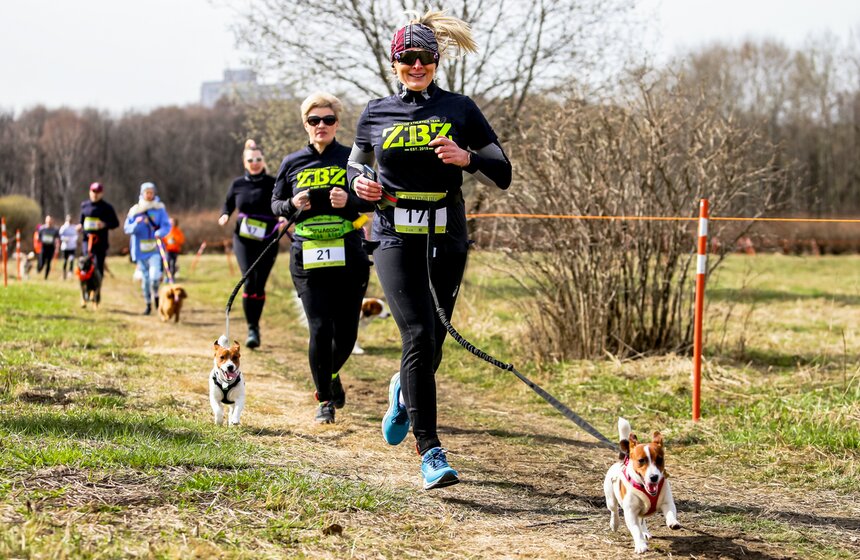Кросс "Быстрый пес" прошел в Битцевском лесу 9 фото
