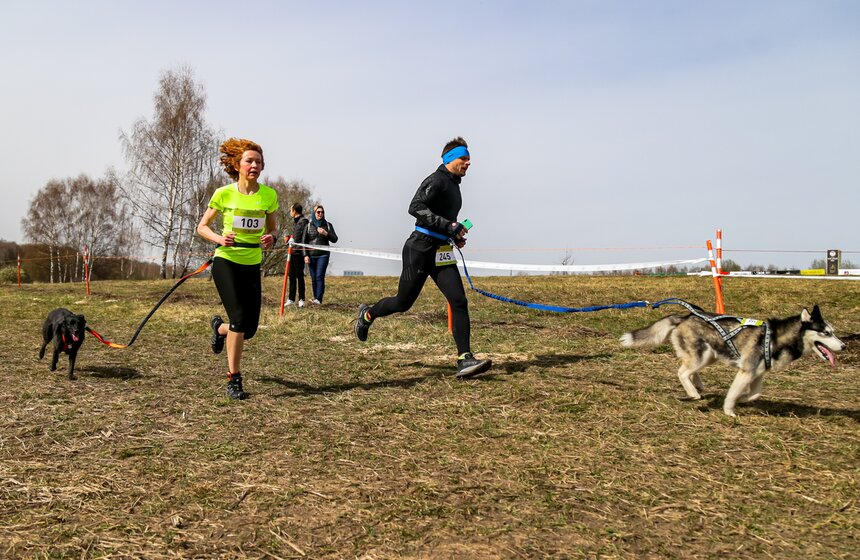Кросс "Быстрый пес" прошел в Битцевском лесу 11 фото