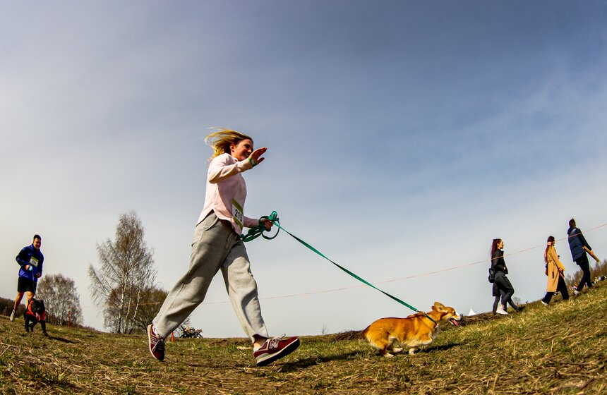 Кросс "Быстрый пес" прошел в Битцевском лесу 14 фото