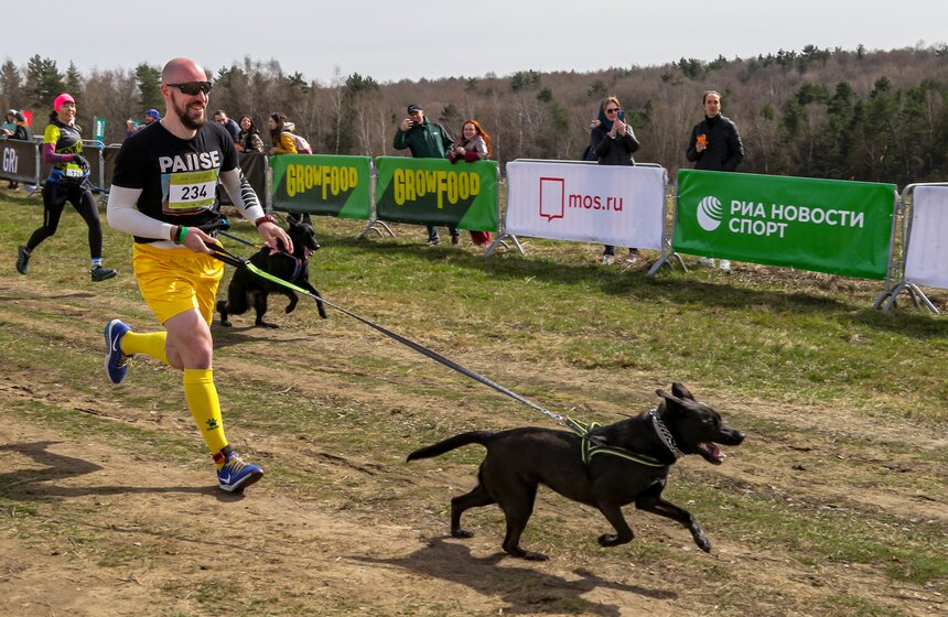 Кросс "Быстрый пес" прошел в Битцевском лесу 7 фото