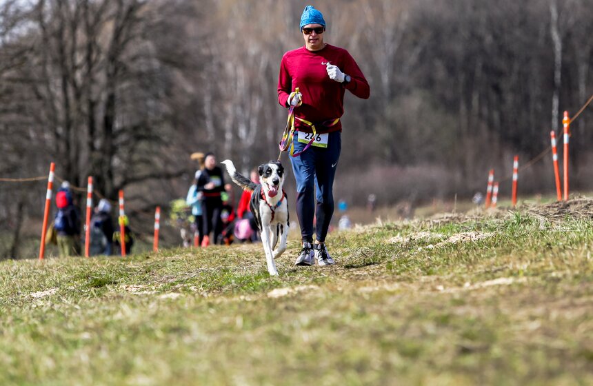 Кросс "Быстрый пес" прошел в Битцевском лесу 12 фото