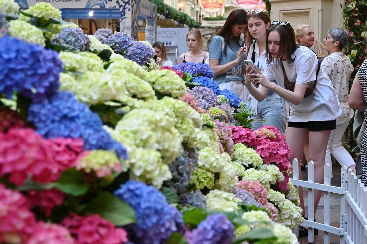 Выставка цветов в москве 2024 март
