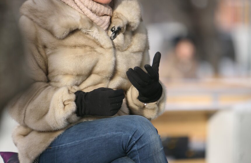 В парке Горького прошли съемки программы "Зима в парке" 12 фото