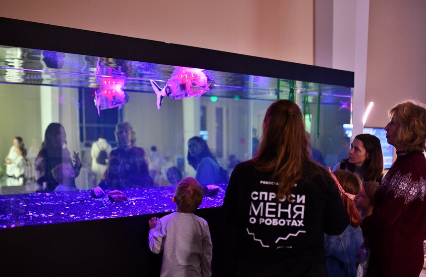 На ВДНХ состоялся пресс-показ новогоднего шоу "Элементарная Елка" 8 фото