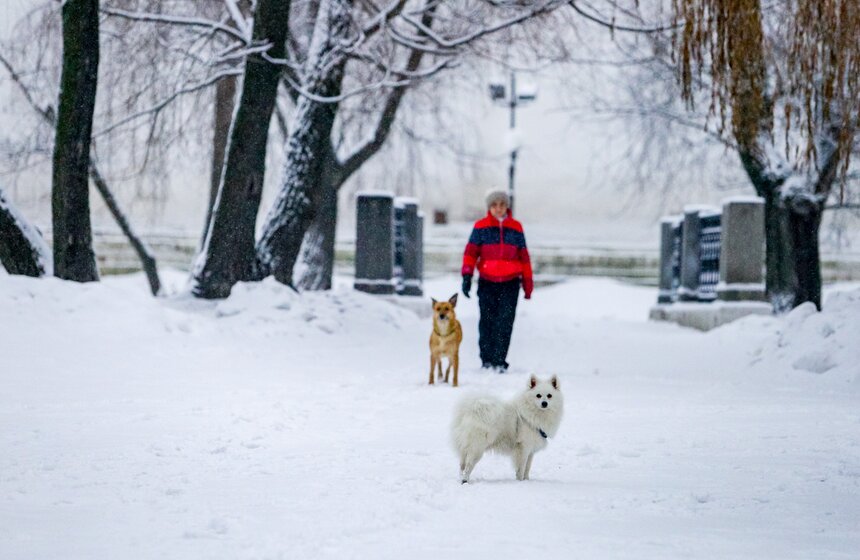 Городские службы Москвы устраняют последствия ночного снегопада 20 фото