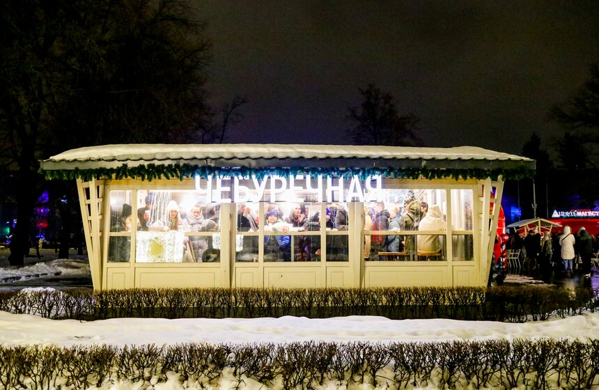 Москвичи встретили Новый год на ВДНХ 26 фото